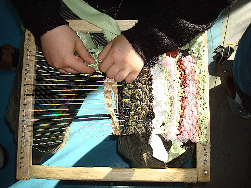 DSC00816.jpg
